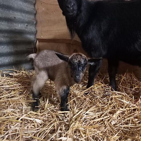 La Petite Ferme Villa La Chapelle  Kültér fotó